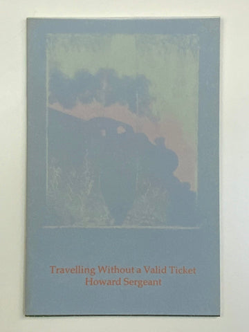 Travelling Without a Valid Ticket